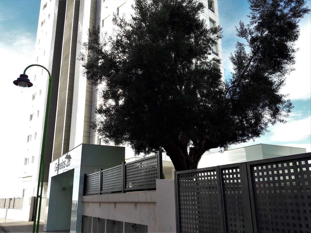 Apartamento Gemelos Primera Linea Benidorm Exterior foto